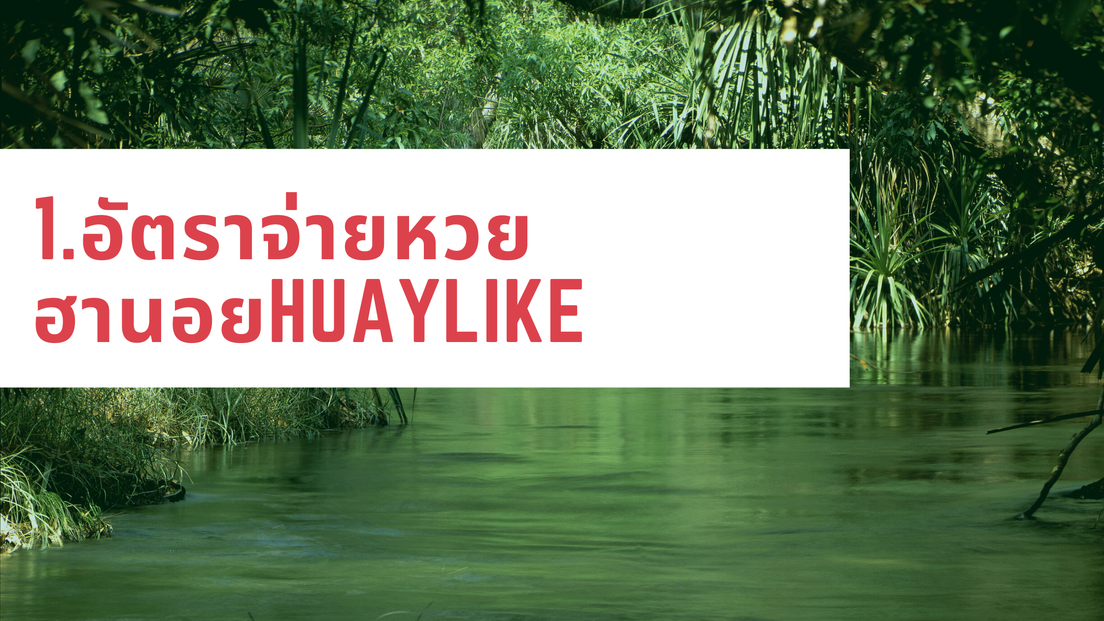 1.อัตราจ่ายหวยฮานอยhuaylike